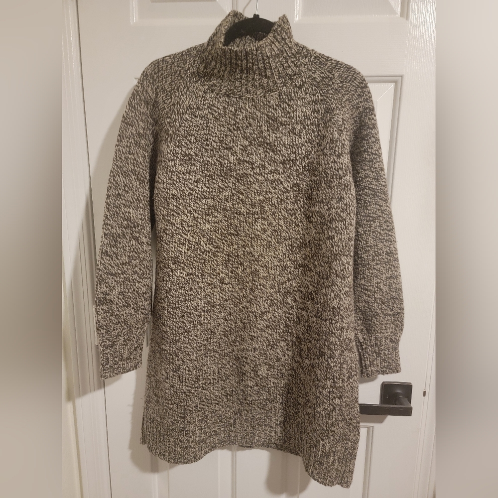 Peruvian Connection Long Turtleneck Sweater